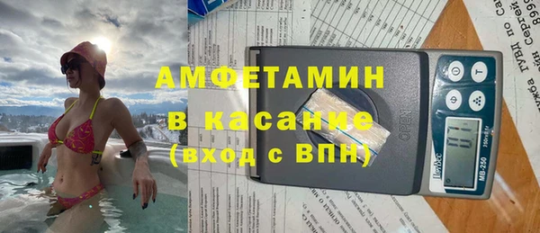 молекула духа Арсеньев