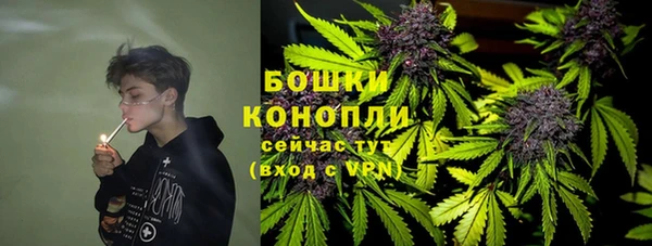 молекула духа Арсеньев