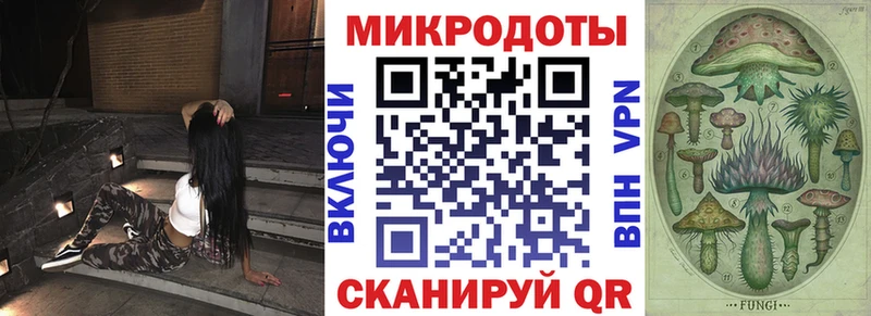 kraken ТОР  Сурск  Галлюциногенные грибы Psilocybe 